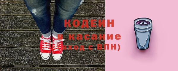 шишки Моршанск