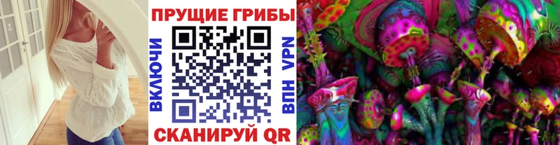 где найти   Полярные Зори  Псилоцибиновые грибы Psilocybe 